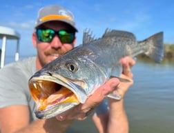 Speckled Trout / Spotted Seatrout Fishing in Oak Hill, Florida