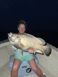 Tripletail Fishing in Fairfield, North Carolina