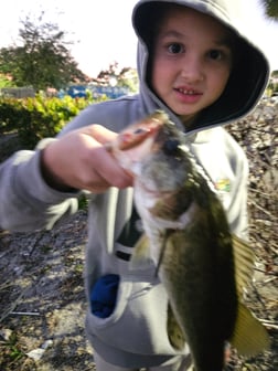 Fishing in Fort Lauderdale, Florida