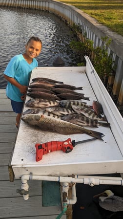 Gag Grouper, Mangrove Snapper, Scup / Porgy Fishing in St. Petersburg, Florida