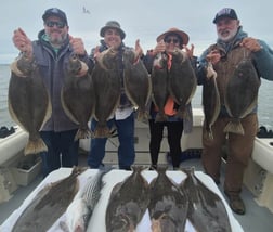 Flounder, Hybrid Striped Bass Fishing in Bodega Bay, California