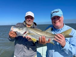 Redfish Fishing in Islamorada, Florida