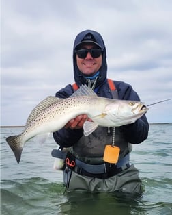 Redfish Fishing in Port O'Connor, Texas