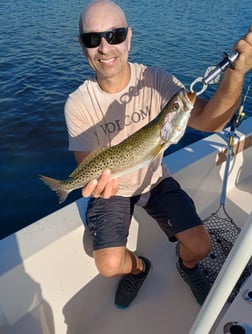 Kingfish Fishing in Sarasota, Florida