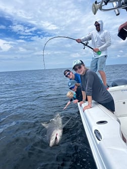 Fishing in Bay Pines, Florida