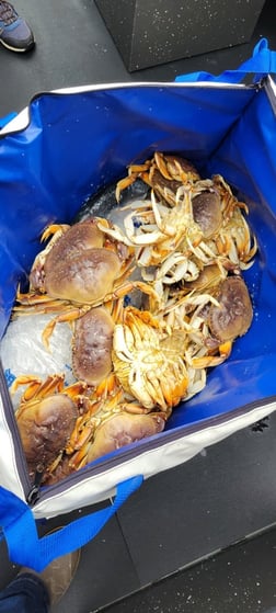 Crab Fishing in Garibaldi, Oregon