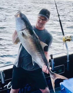 Cobia Fishing in Miami, Florida