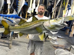 Snook Fishing in St. Petersburg, Florida