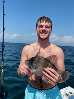 Red Snapper Fishing in Pensacola, Florida