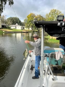 Crappie Fishing in Crystal River, Florida