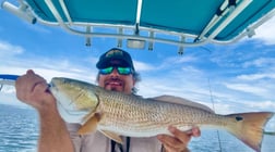 Fishing in St. Petersburg, Florida