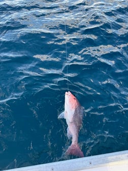 Fishing in Santa Rosa Beach, Florida