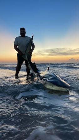 Tiger Shark fishing in Corpus Christi, Texas