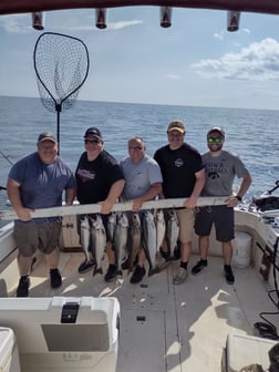 Coho Salmon, Lake Trout, Steelhead fishing in Kenosha, Wisconsin