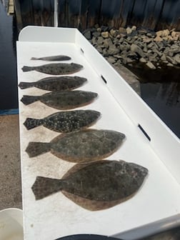 Red Grouper fishing in Little River, South Carolina