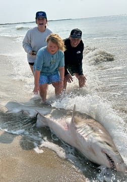 Tiger Shark Fishing in Stone Harbor, New Jersey