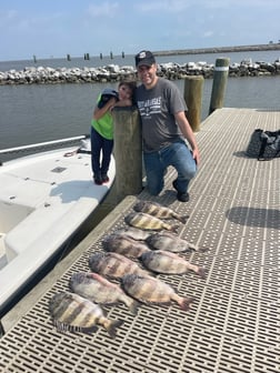 Mangrove Snapper, Sheepshead Fishing in Gulf Shores, Alabama