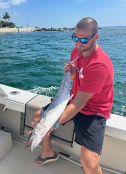 Kingfish Fishing in Pompano Beach, Florida