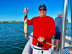 Kingfish Fishing in Sarasota, Florida