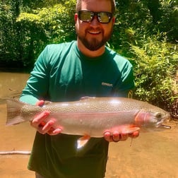 Fishing in Blue Ridge, Georgia