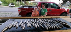 Speckled Trout / Spotted Seatrout Fishing in Yscloskey, Louisiana