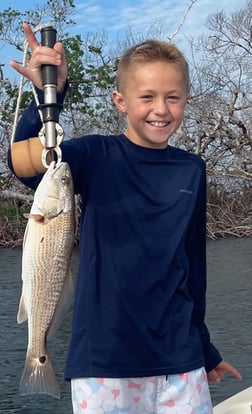 Redfish Fishing in Fort Myers Beach, Florida