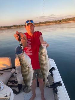 Striped Bass fishing in Pottsboro, Texas