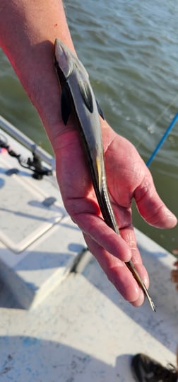 Fishing in South Padre Island, Texas