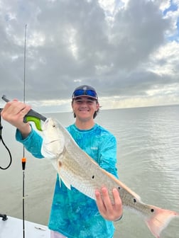 Speckled Trout / Spotted Seatrout fishing in Galveston, Texas