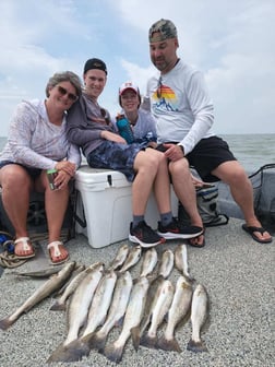 Speckled Trout / Spotted Seatrout fishing in Galveston, Texas