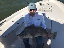 Black Drum Fishing in League City, Texas