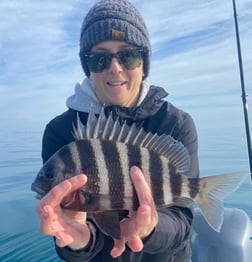 Sheepshead Fishing in Beaufort, North Carolina