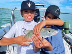 Tarpon Fishing in Tavernier, Florida