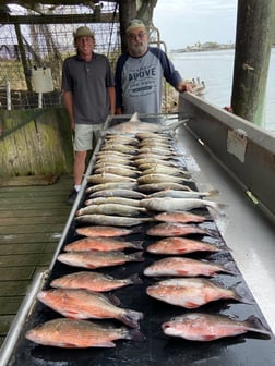 Mangrove Snapper, Redfish, Speckled Trout / Spotted Seatrout Fishing in Surfside Beach, Texas