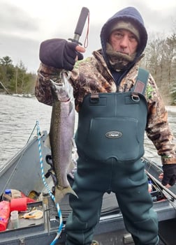 Steelhead Fishing in Verona Beach, New York