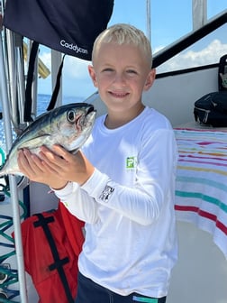 Mahi Mahi / Dorado fishing in Naples, Florida