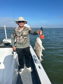 Fishing in Corpus Christi, Texas