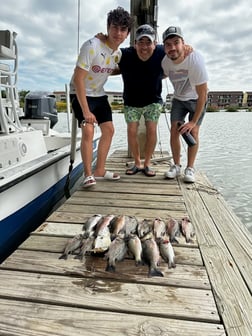 Fishing in South Padre Island, Texas