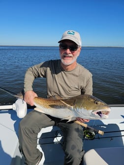 Fishing in New Orleans, Louisiana