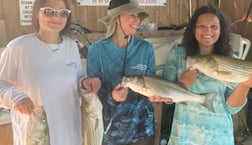 Striped Bass fishing in Pottsboro, Texas