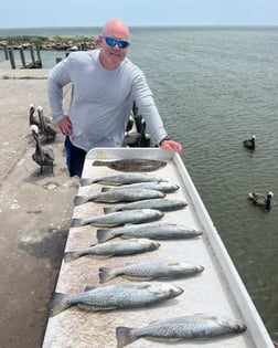 Redfish, Speckled Trout Fishing in Galveston, Texas