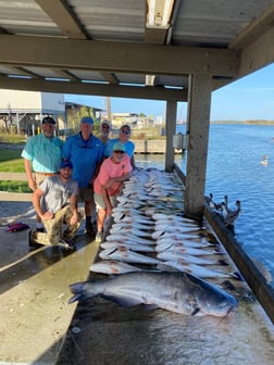 Speckled Trout / Spotted Seatrout Fishing in Venice, Louisiana