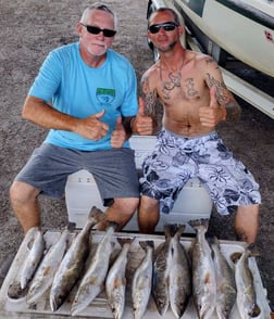 Speckled Trout / Spotted Seatrout fishing in Dickinson, Texas