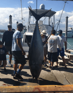 Fishing in Miami, Florida