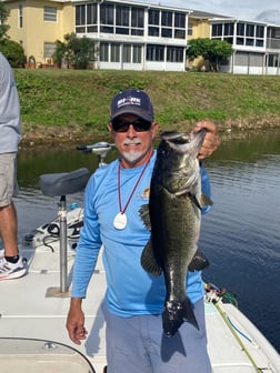 Peacock Bass Fishing in Wellington, Florida