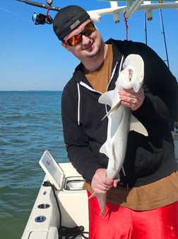 Redfish Fishing in Mount Pleasant, South Carolina