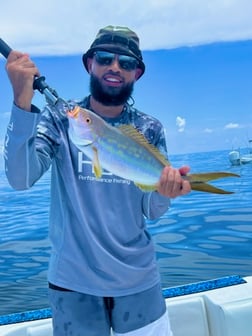 Amberjack, Spanish Mackerel, Triggerfish, Yellowtail Snapper Fishing in Tavernier, Florida