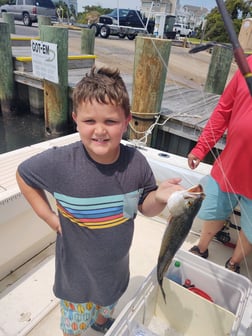 Redfish fishing in Hatteras, North Carolina