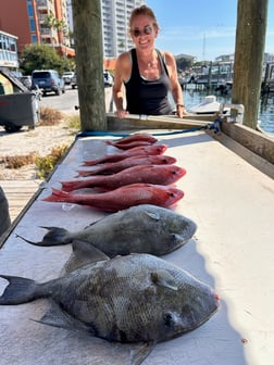 Fishing in Pensacola Beach, Florida