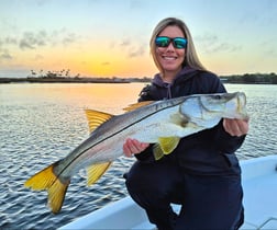 Mahi Mahi Fishing in Crystal River, Florida